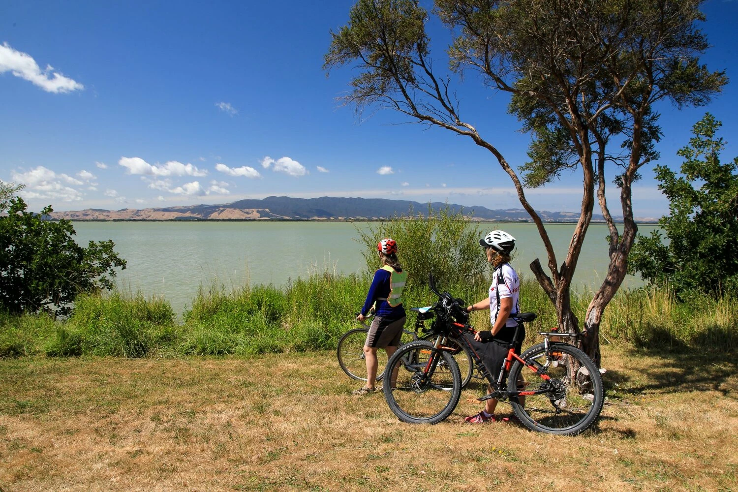 PNEUS BIKELIFE Boutique -PNEUS BIKELIFE Boutique 962326