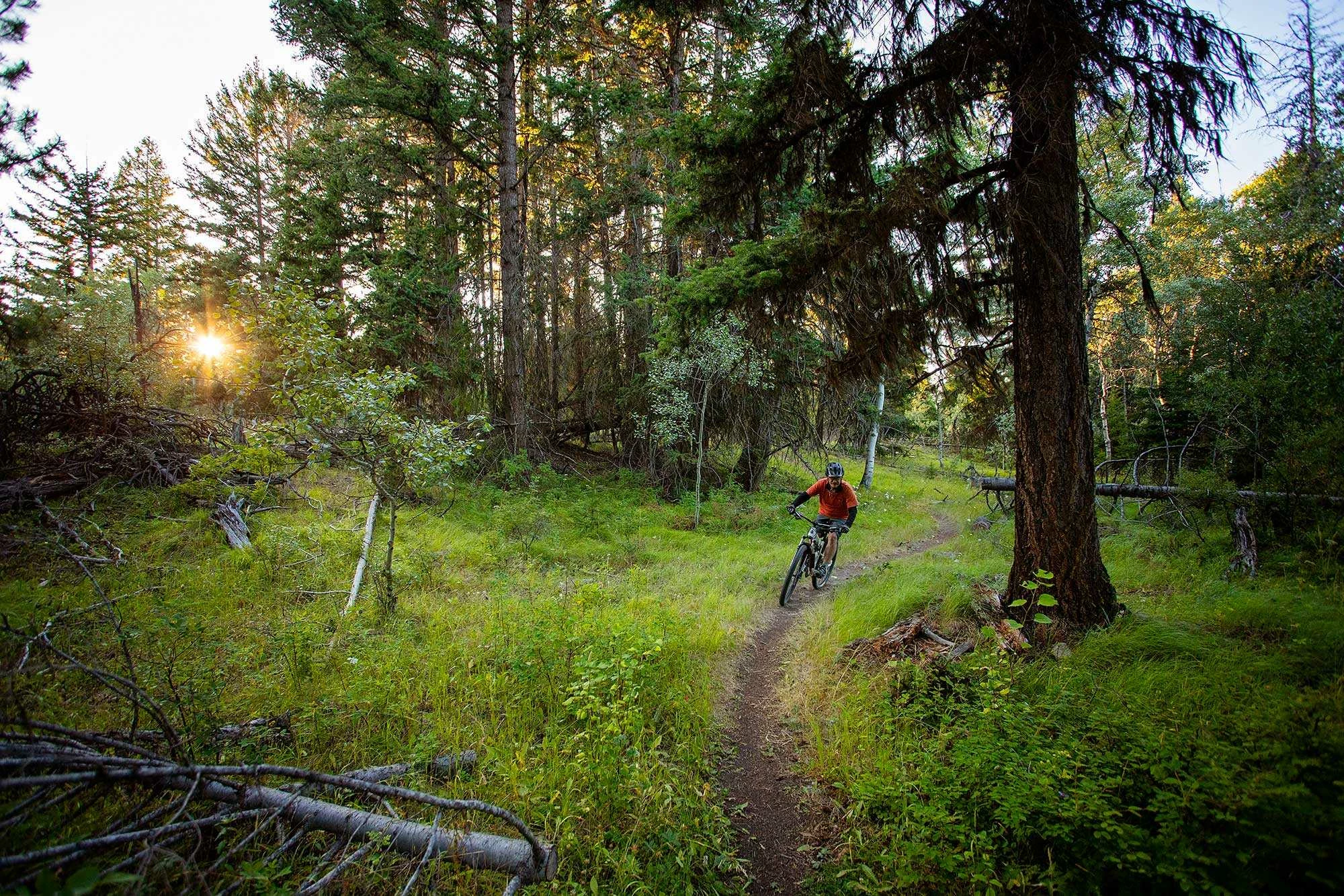 PNEUS BIKELIFE Boutique -PNEUS BIKELIFE Boutique 99633