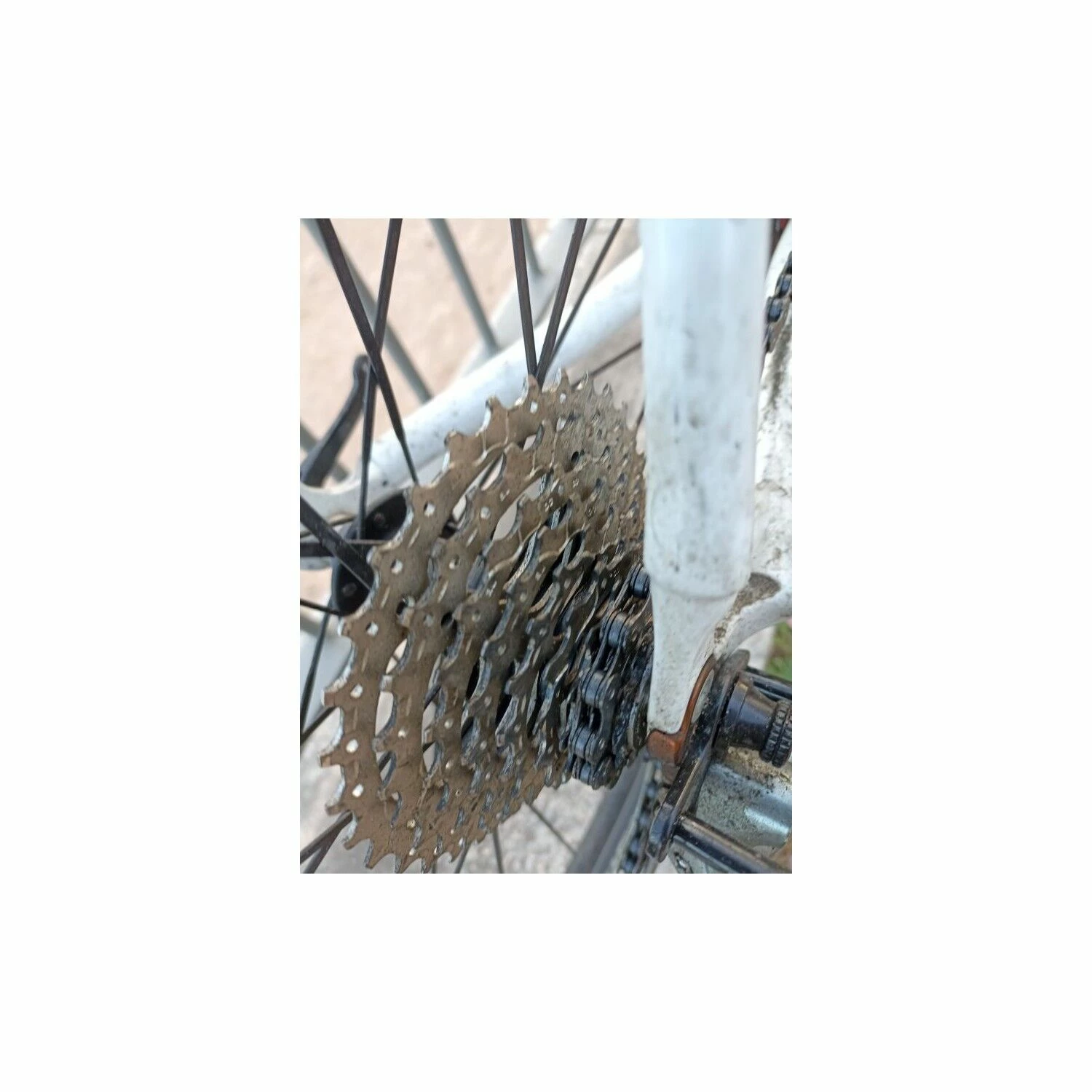 Vélo De Course Focus - 56 4 Vélo De Course Focus - 56 – Image 4