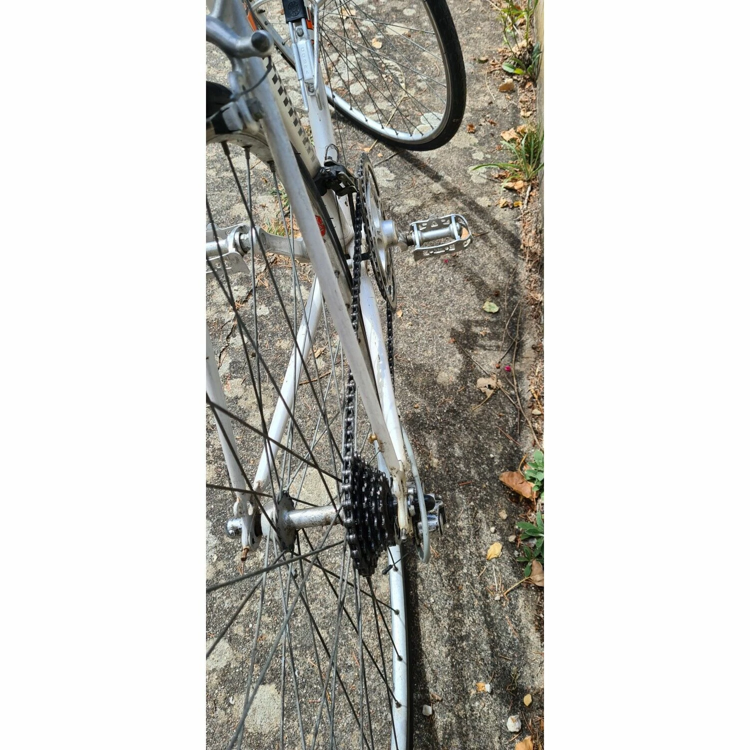 Vélo Urbain Peugeot 2 Vélo Urbain Peugeot – Image 2