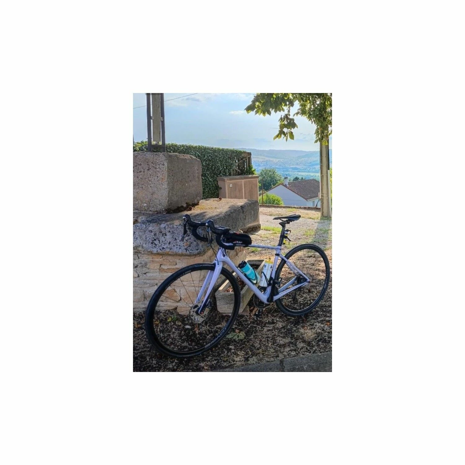 Vélo De Course Specialized - 54 2 Vélo De Course Specialized - 54 – Image 2