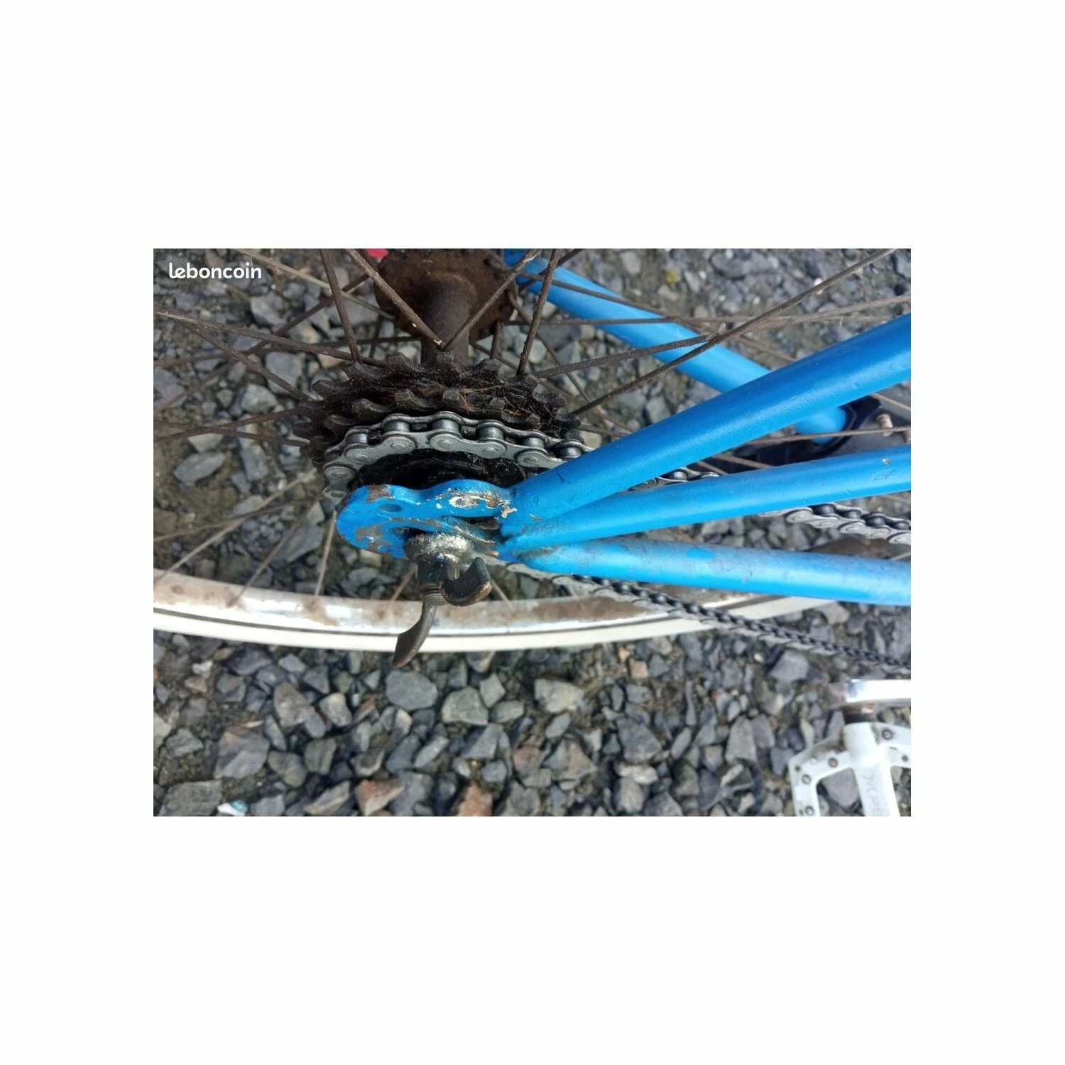 Vélo Fixie Et Singlespeed Autre Marque 4 Vélo Fixie Et Singlespeed Autre Marque – Image 4