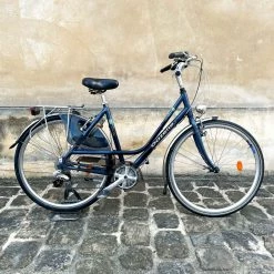 Vélo Tout Chemins Gazelle